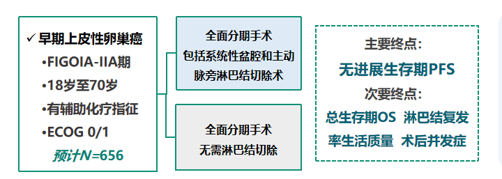 怎么使用妇科探针焦点视界丨宋坤教授：上皮性卵巢癌淋巴结切除术的必要性与临床应用_https://www.jmylbn.com_新闻资讯_第26张