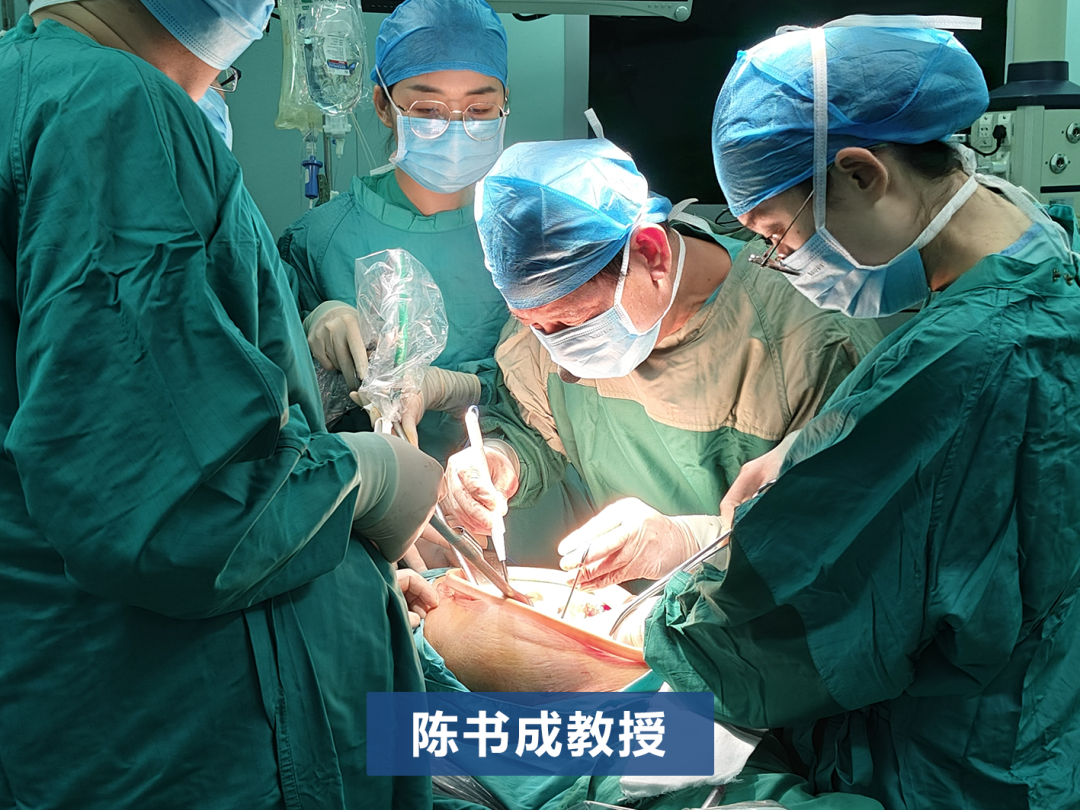 太行ct怎么样银刀妙手展绝技,共抗妇瘤护生机——2024年河北省妇科肿瘤年会(第八届太行论坛)暨河北省第四届妇科肿瘤MDT论坛拉开序幕_新闻资讯_第7张_活检穿刺产品网 太行ct怎么样银刀妙手展绝技,共抗妇瘤护生机——2024年河北省妇科肿瘤年会(第八届太行论坛)暨河北省第四届妇科肿瘤MDT论坛拉开序幕_https://www.jmylbn.com_新闻资讯_第7张