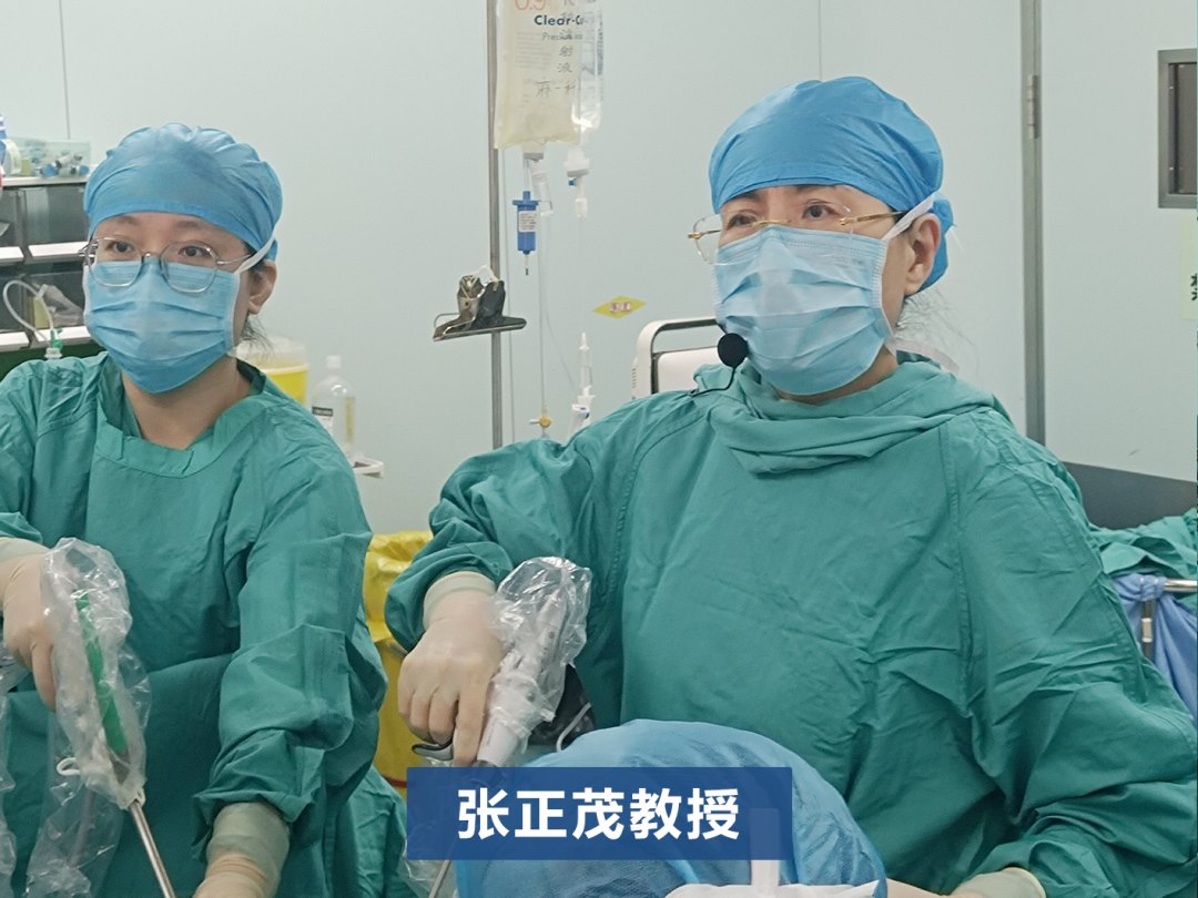 太行ct怎么样银刀妙手展绝技,共抗妇瘤护生机——2024年河北省妇科肿瘤年会(第八届太行论坛)暨河北省第四届妇科肿瘤MDT论坛拉开序幕_新闻资讯_第8张_活检穿刺产品网 太行ct怎么样银刀妙手展绝技,共抗妇瘤护生机——2024年河北省妇科肿瘤年会(第八届太行论坛)暨河北省第四届妇科肿瘤MDT论坛拉开序幕_https://www.jmylbn.com_新闻资讯_第8张