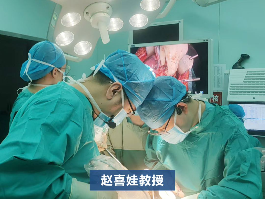 太行ct怎么样银刀妙手展绝技，共抗妇瘤护生机——2024年河北省妇科肿瘤年会（第八届太行论坛）暨河北省第四届妇科肿瘤MDT论坛拉开序幕_https://www.jmylbn.com_新闻资讯_第12张