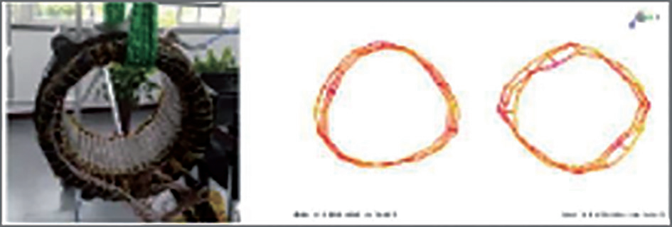 电驱动NVH特点以及研究现状的图1