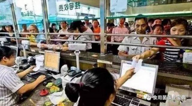 食用菌让你少进医院