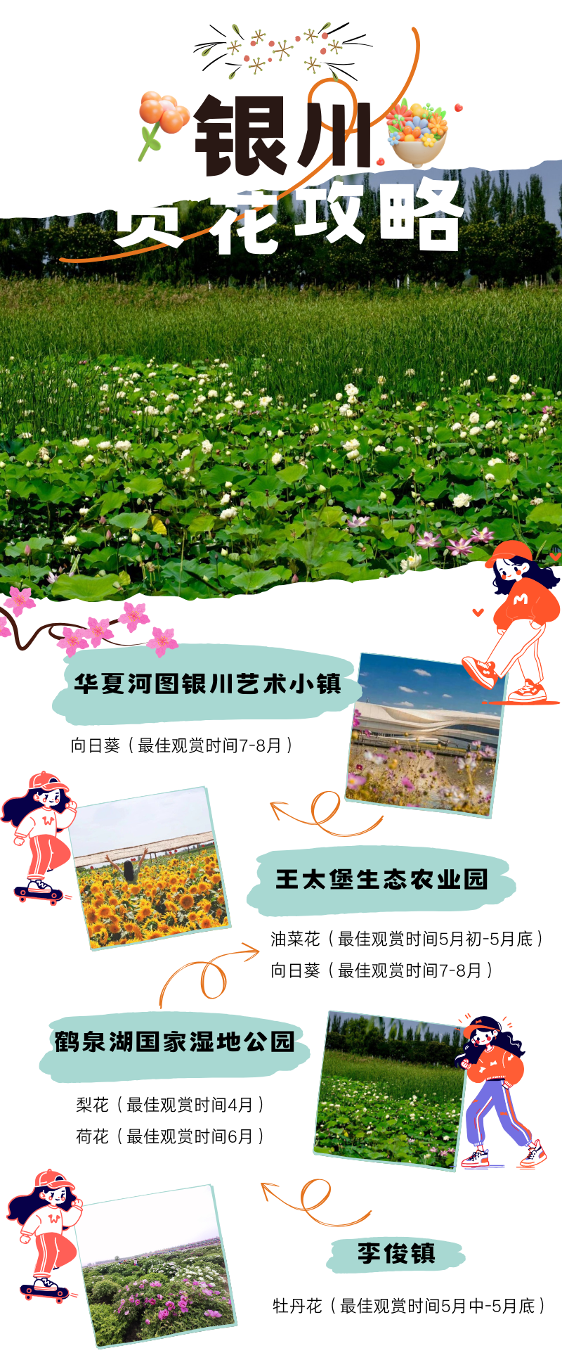 走赏花去爱尚银川春漫凤城2024春日赏花游攻略来了请收藏