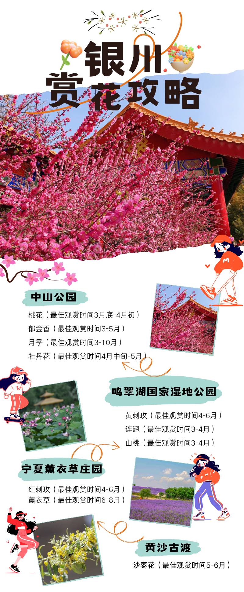 走赏花去爱尚银川春漫凤城2024春日赏花游攻略来了请收藏