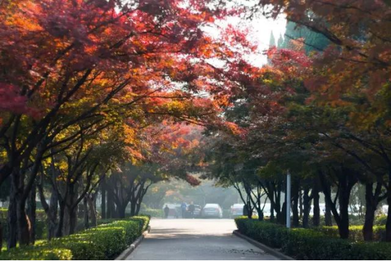 2013年南京财经大学在河南省的录取分数线_空军工程大学2014年河南录取分数线_河南科技大学录取分数线