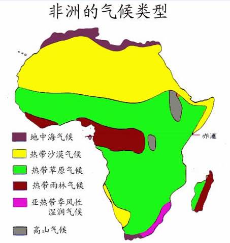 热带雨林气候分布图片