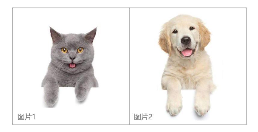 【人工智能 】十分钟小科普 ｜ 什么是人工智能？