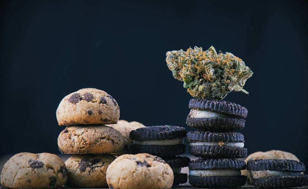 误食了一整块大麻蛋糕 该怎么办 在线等 急 自由微信 Freewechat