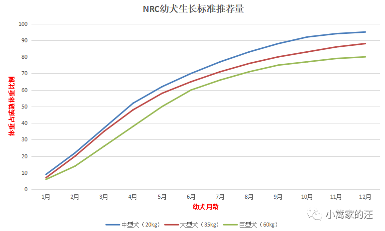 幼犬营养需求特点及熟自制建议 小篱家的汪 微信公众号文章 微小领