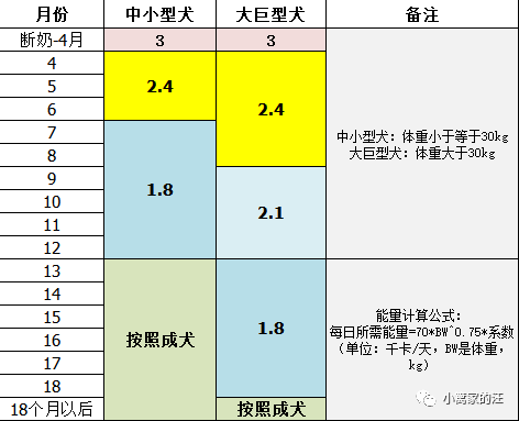 幼犬营养需求特点及熟自制建议 小篱家的汪 微信公众号文章 微小领
