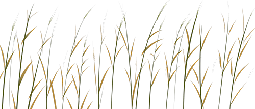 劲爆COMSOL资源，解决你的痛点的图14