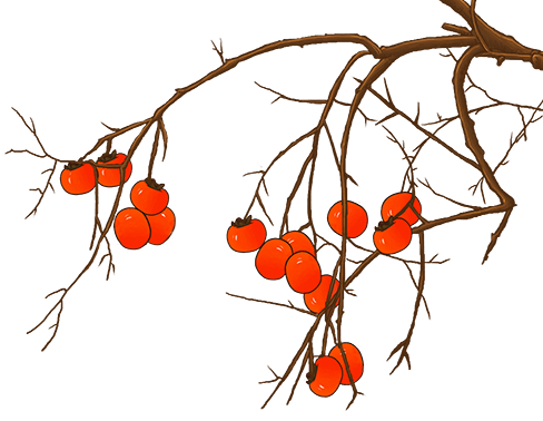 劲爆COMSOL资源，解决你的痛点的图1