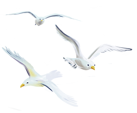 劲爆COMSOL资源，解决你的痛点的图11