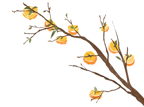 劲爆COMSOL资源，解决你的痛点的图2