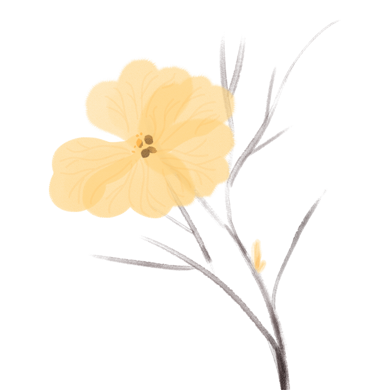 浅谈那些年里被COMSOL拿捏过的...的图10