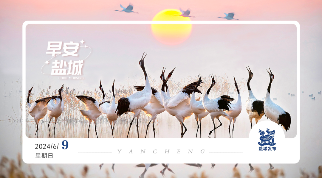 盐城新增省"专精特新"再创新高近日,省工信厅公布了江苏省2024年专精