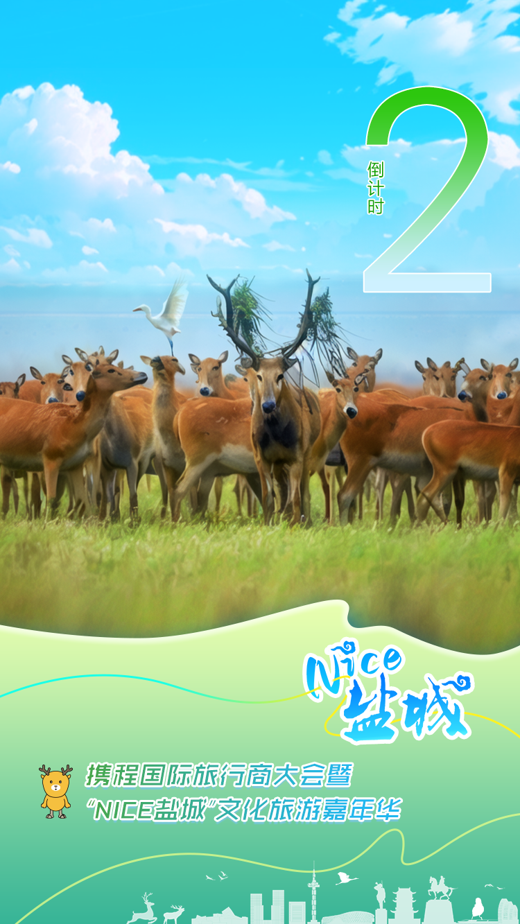 nice盐城现代快报连续4天整版聚焦