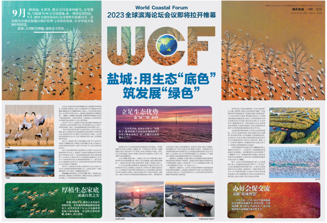 《新民晚报》创意四联版点赞盐城!-盐城新闻网