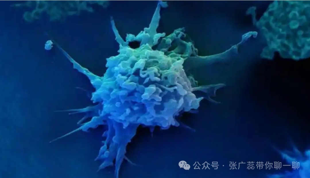 癌症不治疗，最长能活多久？