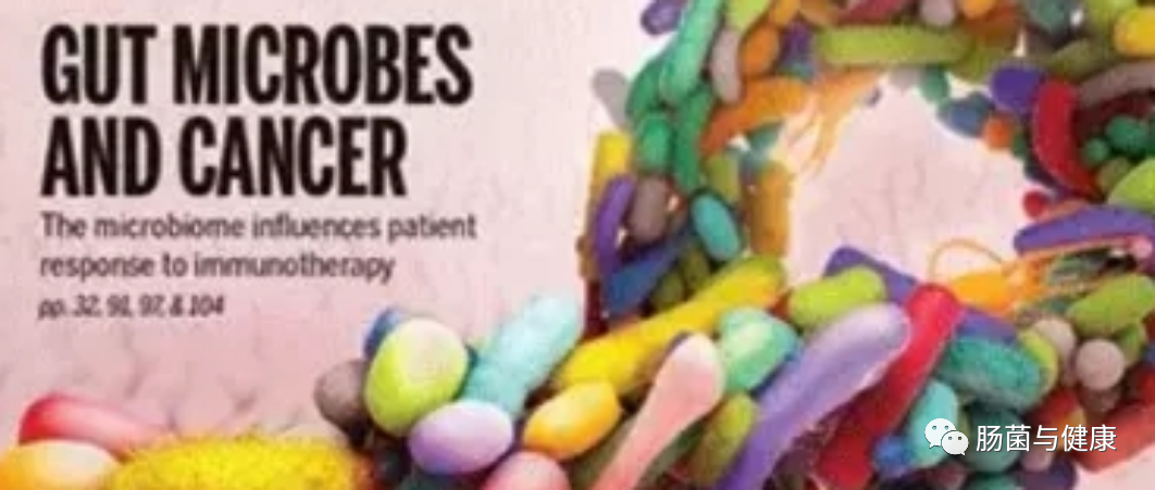 给肠道菌群吃点好吃的，可以发挥强大的抗肿瘤作用？