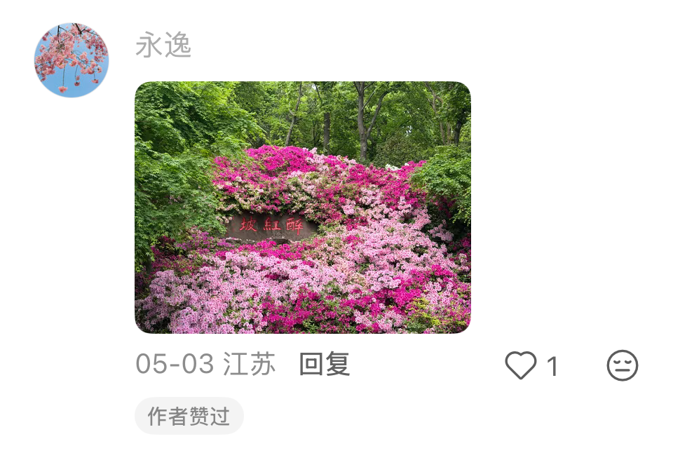 IMG_7438.PNG