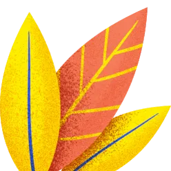 鸢尾兰_兰鸢尾图片_兰鸢尾花