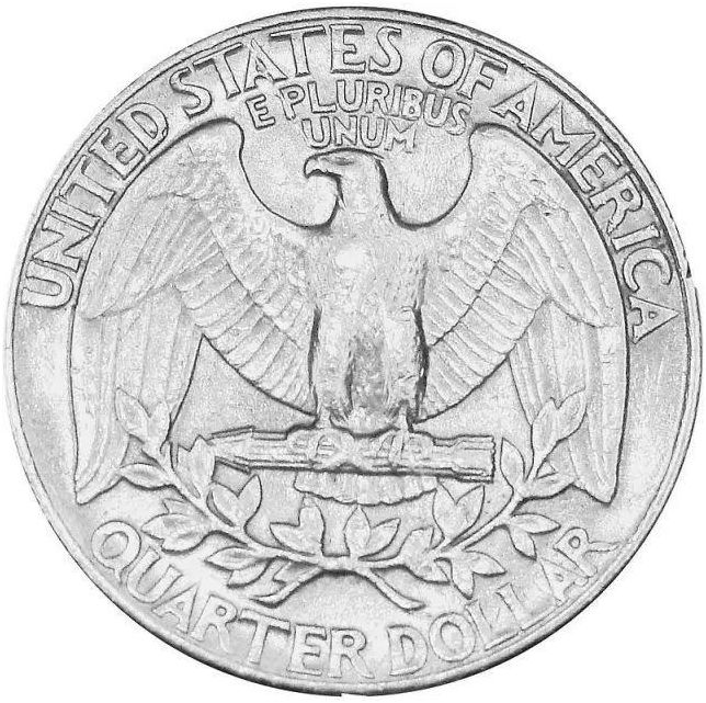 【旅游】霸气外露，伟岸美丽，白头鹰的恩怨情仇（下）