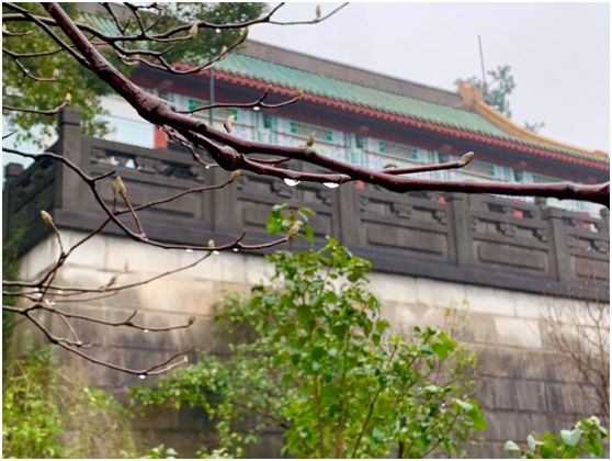 【旅游】水光潋滟、山色空蒙！冬季杭州西子如诗似画（上）| 美国贝佳天然药业