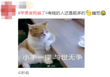 果然，苹果官网又崩了！ 11899元的顶配iPhone，10分钟就被抢光（组图） - 4