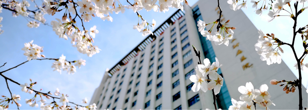 碎石器有哪些用处碎石利器，无坚不摧！_https://www.jmylbn.com_新闻资讯_第5张