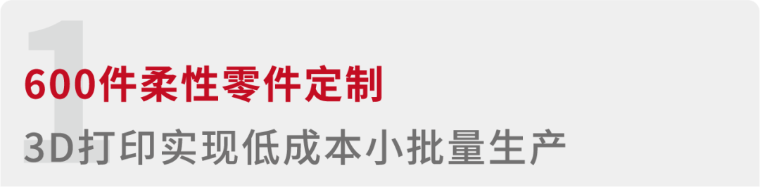 Raise3D助力低成本小批量生產(chǎn)的圖3