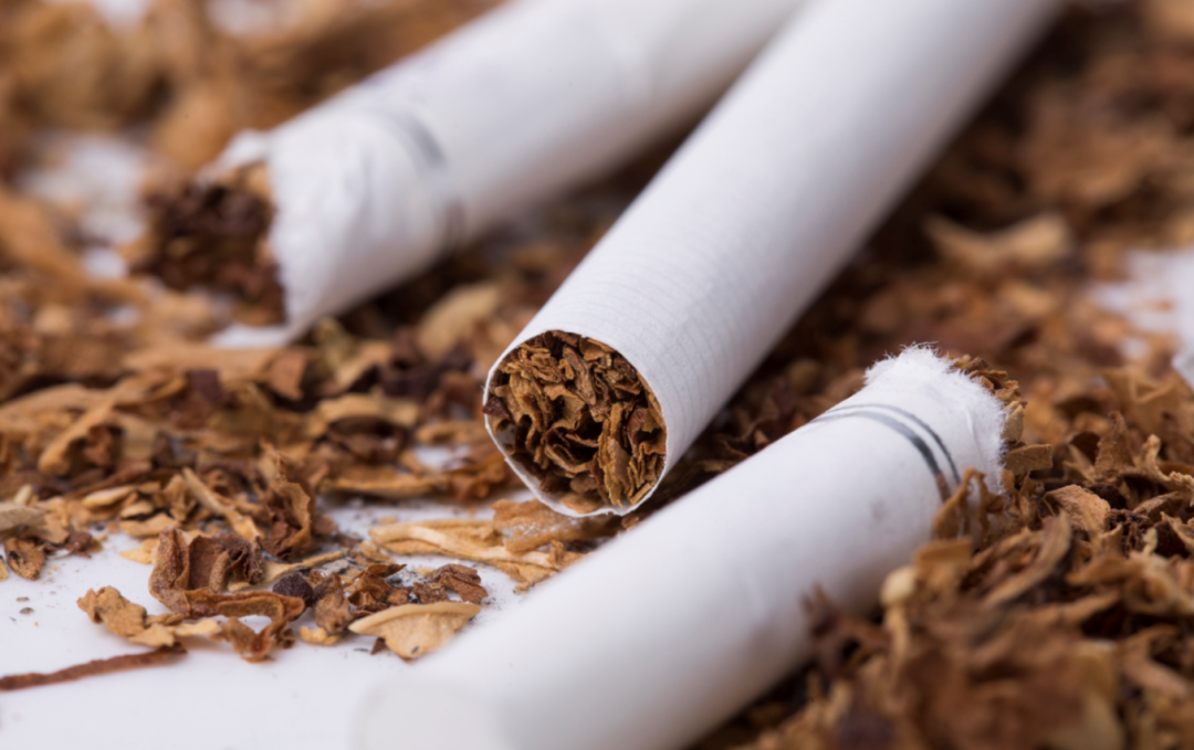 冬奥期间,别忘了来感受中式卷烟这5种魅力!