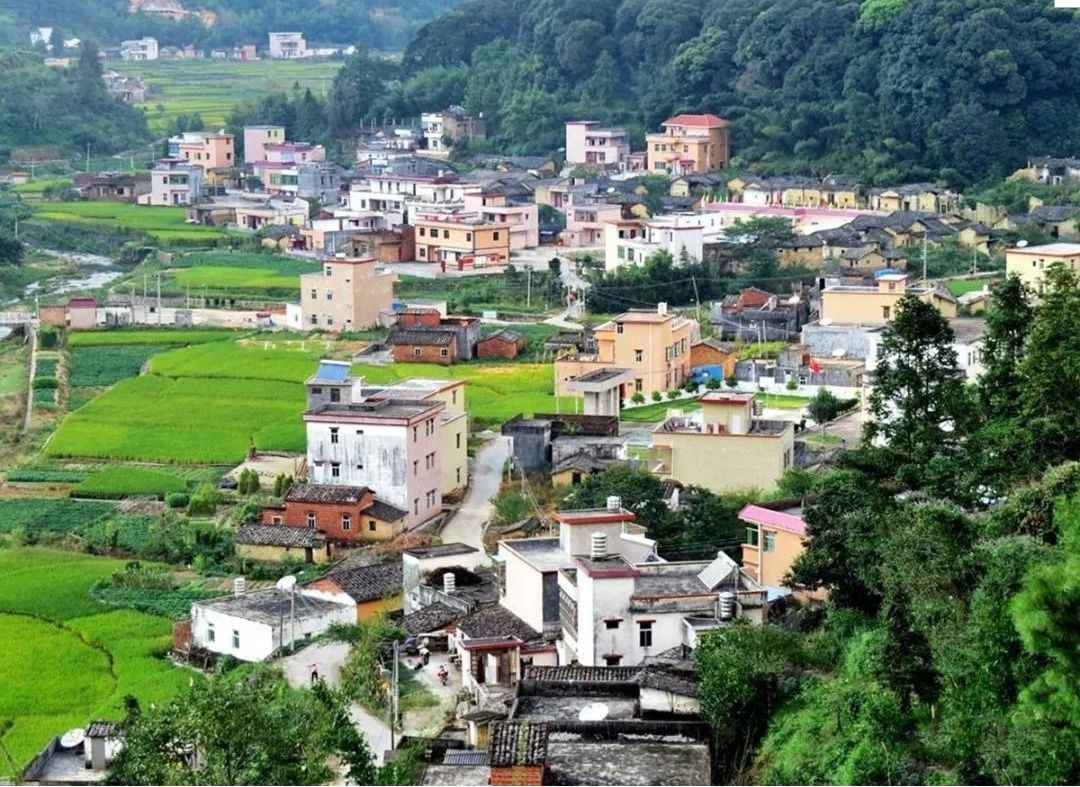 揭西县良田乡桐树坪村