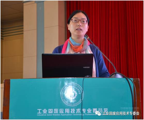 工信部原材料司建筑材料处调研员高萍,交通运输部规划研究院环境资源