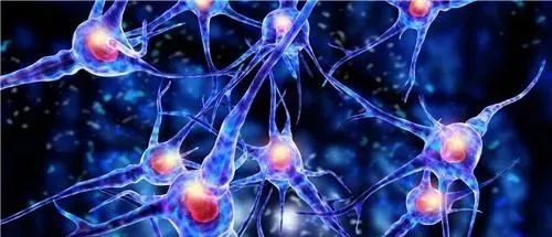 怎么买神经肌肉康复仪让肌肉“舞动”起来  肌体功能好起来——神经肌肉电刺激仪_https://www.jmylbn.com_新闻资讯_第1张