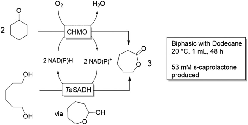 生物催化反应中溶剂体系的选择的图3