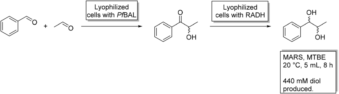 生物催化反应中溶剂体系的选择的图4
