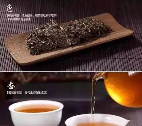 降三高，治痛风、抗氧化、抗衰老黑茶为啥都能有？