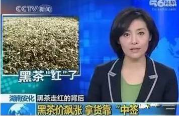 央视报道：全世界的都在看安化黑茶