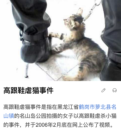 为了块杀掉80条生命 那个虐猫的大学生 凭什么求得原谅 萌宠 训练养宠技巧 宠物用品 微信头条新闻公众号文章收集网