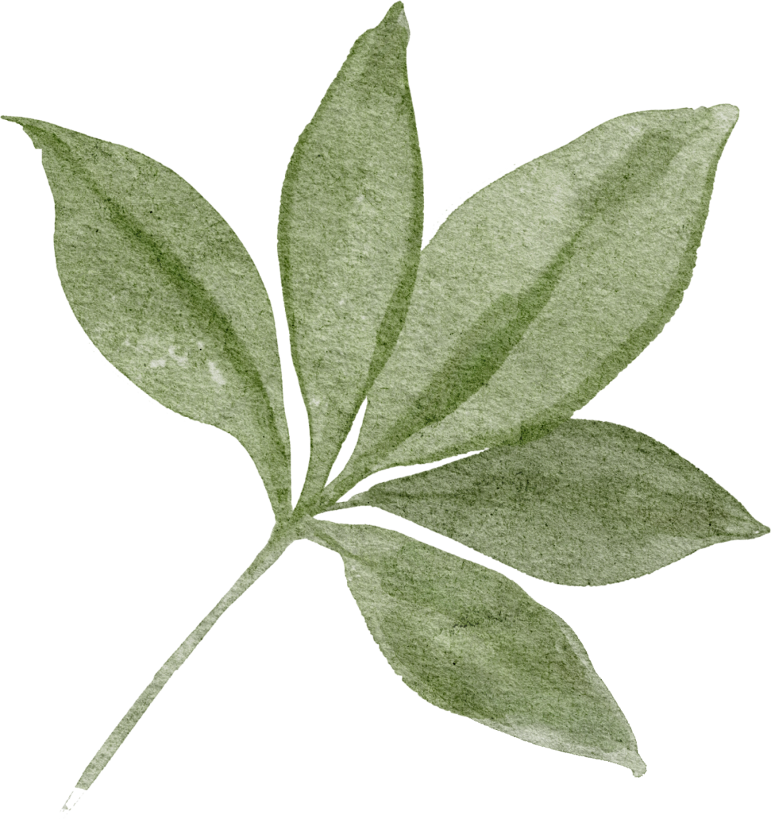 “粽”享文艺，祝大家端午安康！ 第44张