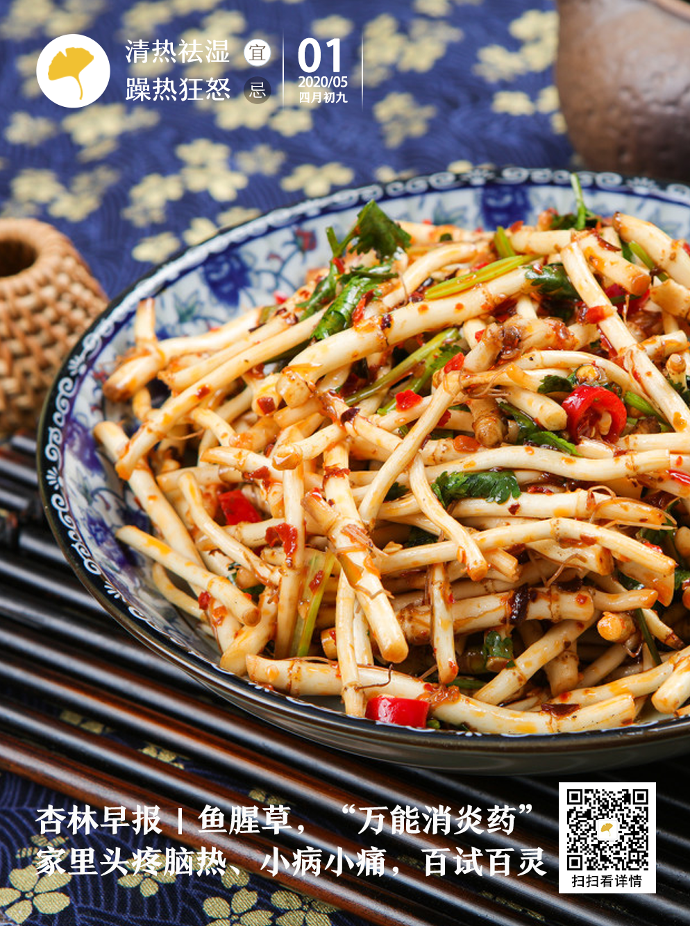 杏林早报鱼腥草，“万能消炎药”！家里头疼脑热、小病小痛，百试百灵