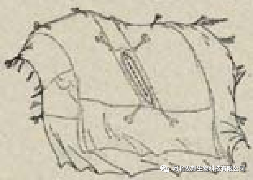 手术工具怎么消毒外科基本手术_https://www.jmylbn.com_新闻资讯_第4张