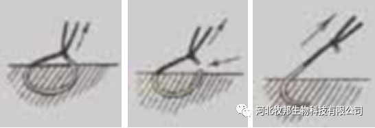 手术工具怎么消毒外科基本手术_https://www.jmylbn.com_新闻资讯_第30张