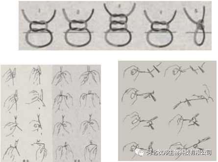 手术工具怎么消毒外科基本手术_https://www.jmylbn.com_新闻资讯_第29张