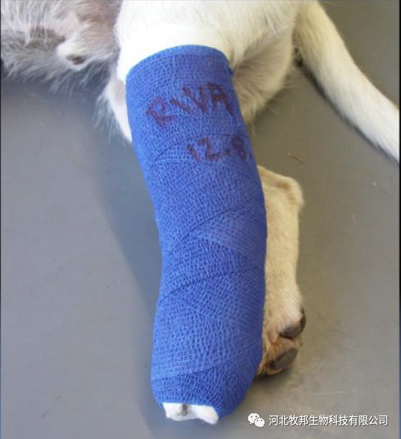 手术工具怎么消毒外科基本手术_https://www.jmylbn.com_新闻资讯_第31张