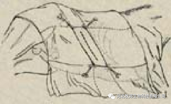 手术工具怎么消毒外科基本手术_https://www.jmylbn.com_新闻资讯_第3张