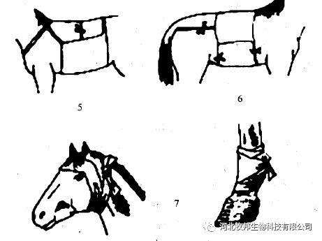 手术工具怎么消毒外科基本手术_https://www.jmylbn.com_新闻资讯_第32张