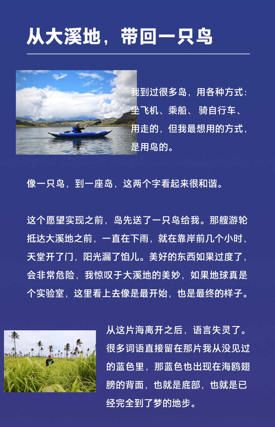 herschel岛旅行札记听觉漂流旅途的另一种形式