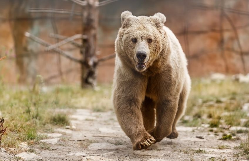 ϰףֻҼ۸𽥻عʵֵ